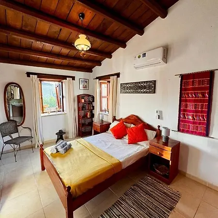 Traditional Cypriot House - Akapanou Apartment *