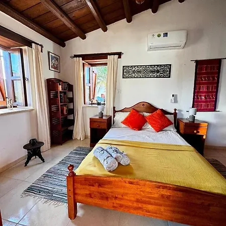 Traditional Cypriot House - Akapanou 아파트 *