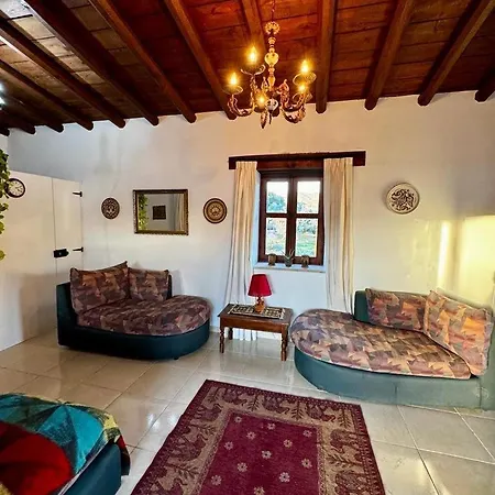 Traditional Cypriot House - Akapanou 아파트 Akapnu